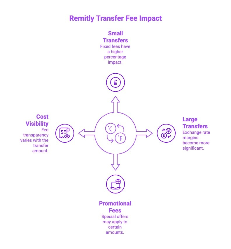 Infographics on Remitly Transfer Fee Impact