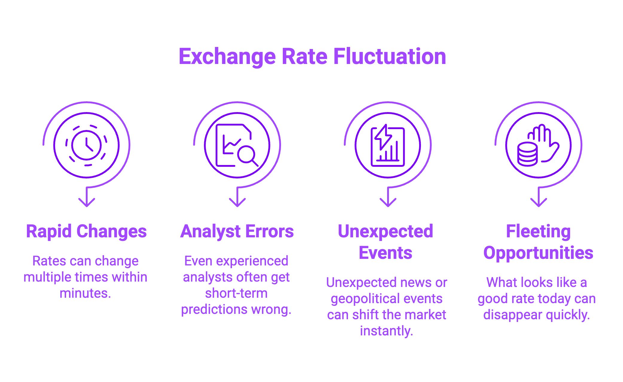 Infographic on Exchange Rate Fluctuation